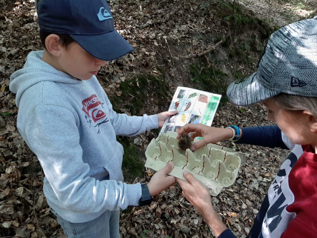 Apie Atypiques Personnes Dans L Intelligence Et L émotion Les 6ème 5 à Neuwiller-lès-Saverne - École & Collège Notre-Dame de Sion