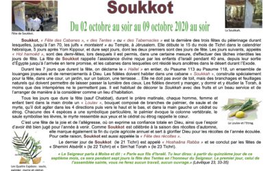 Au fil du temps liturgique … Soukkot du 02 au 09 octobre !