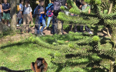 Une journée enrichissante au Parc Animalier de Sainte-Croix