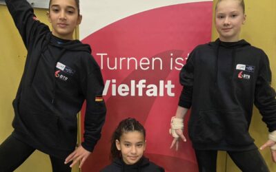 Trois gymnastes du collège à l’honneur