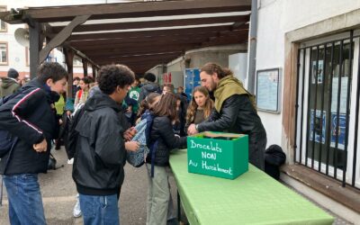 La journée Non au harcèlement – Collège